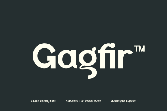 Gagfir: The Bold Typeface for Scroll-Stopping Brand Content