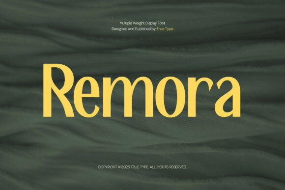 Remora: The Sans Serif Typeface That Elevates Small Business Brands